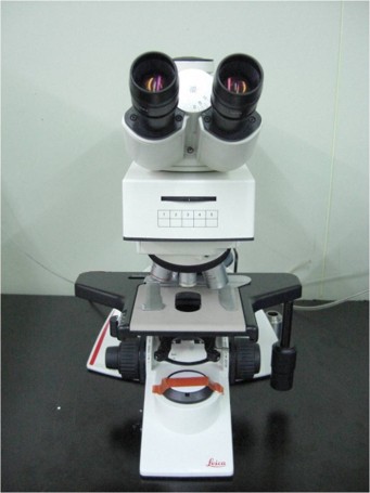 Optical Microscope