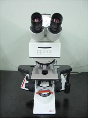 Optical Microscope